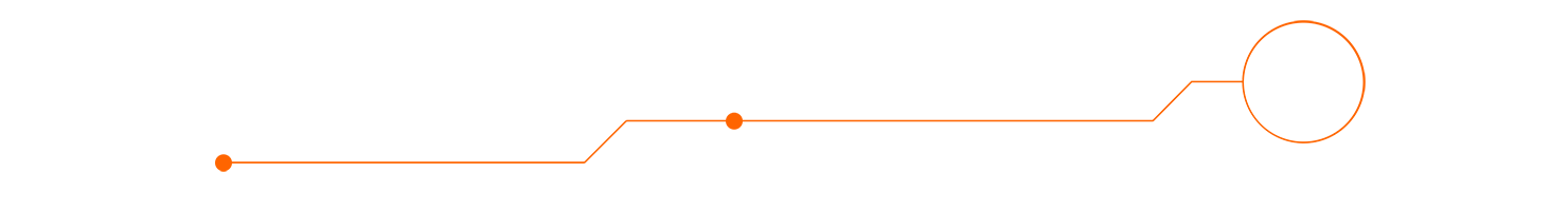 HOSCH-iris-DETECT-line-overlay