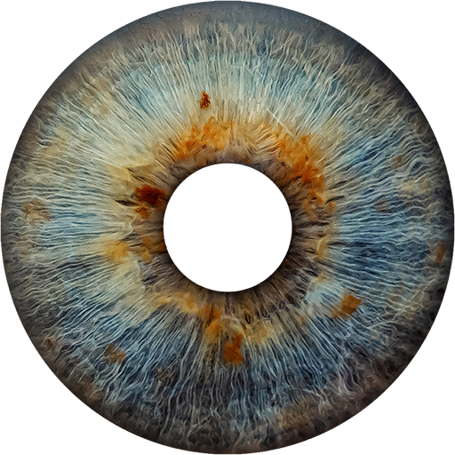 HOSCH-iris-detect-blue HOSCH iris DATA