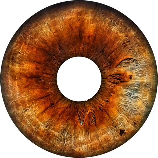 HOSCH-iris-discover-brown HOSCH iris DATA